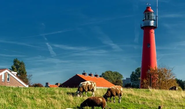 Hoek van Holland Plaja, dune și coasta Mării Nordului din Țările de Jos