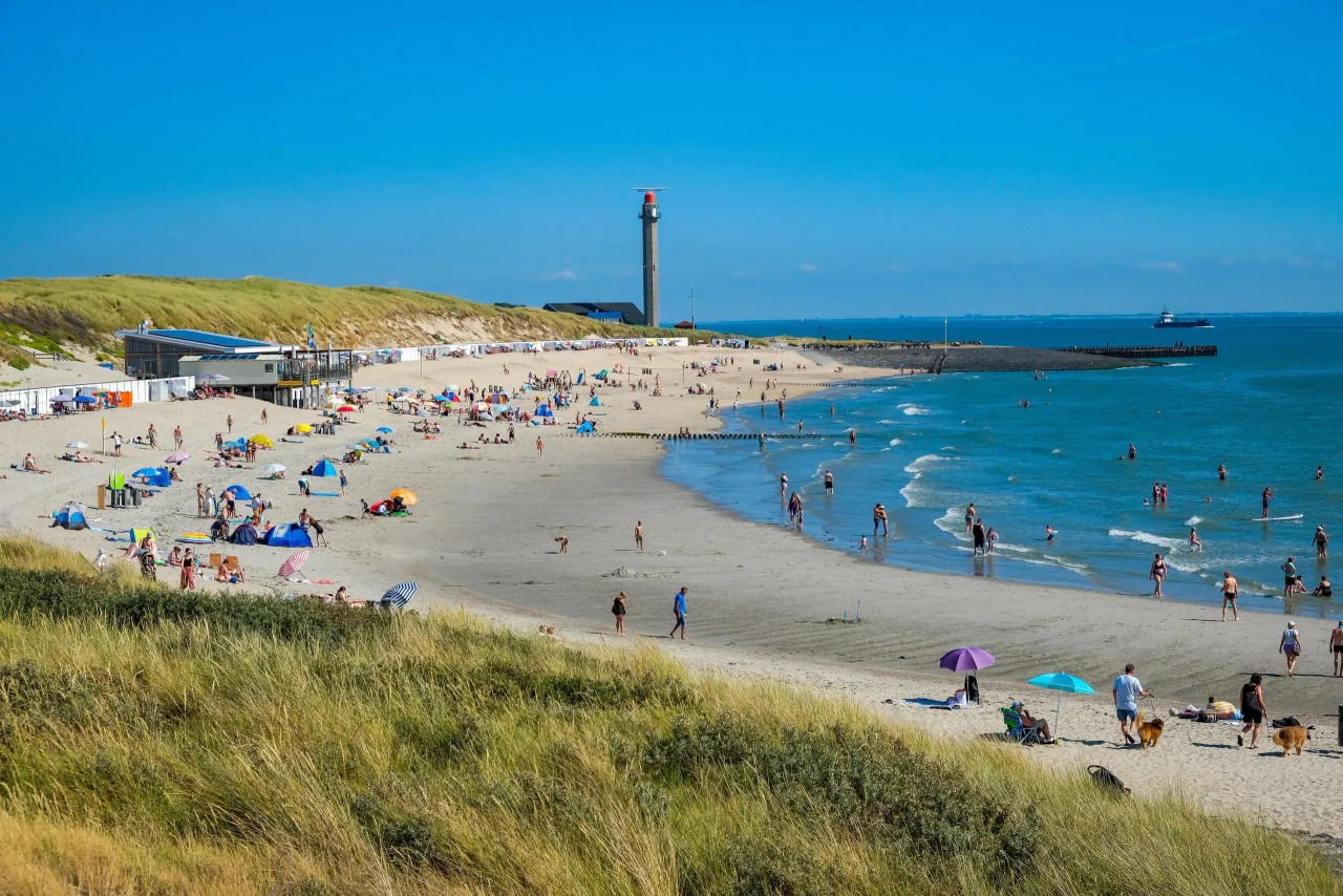 Destinație pentru feribotul Hoek van Holland