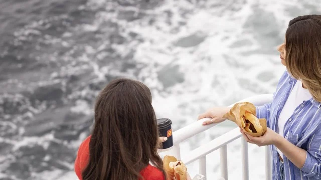 Pasageri pe puntea deschisă la bordul feribotului CalMac MV Clansman