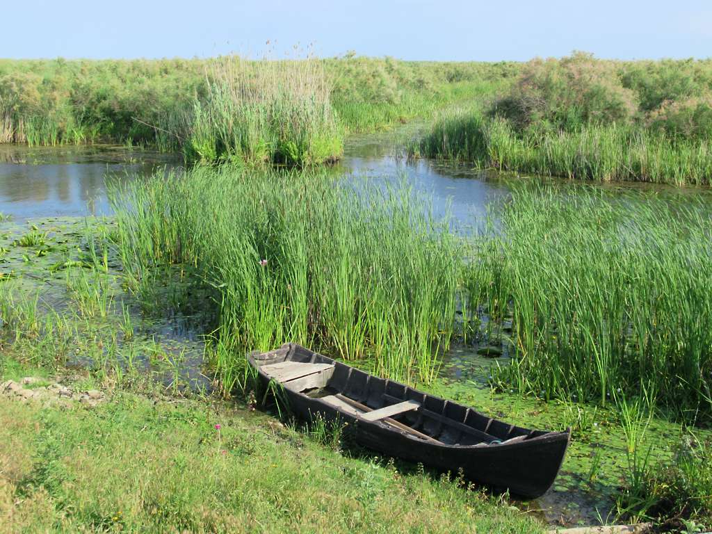 Canal în zona Crișan, Delta Dunării
