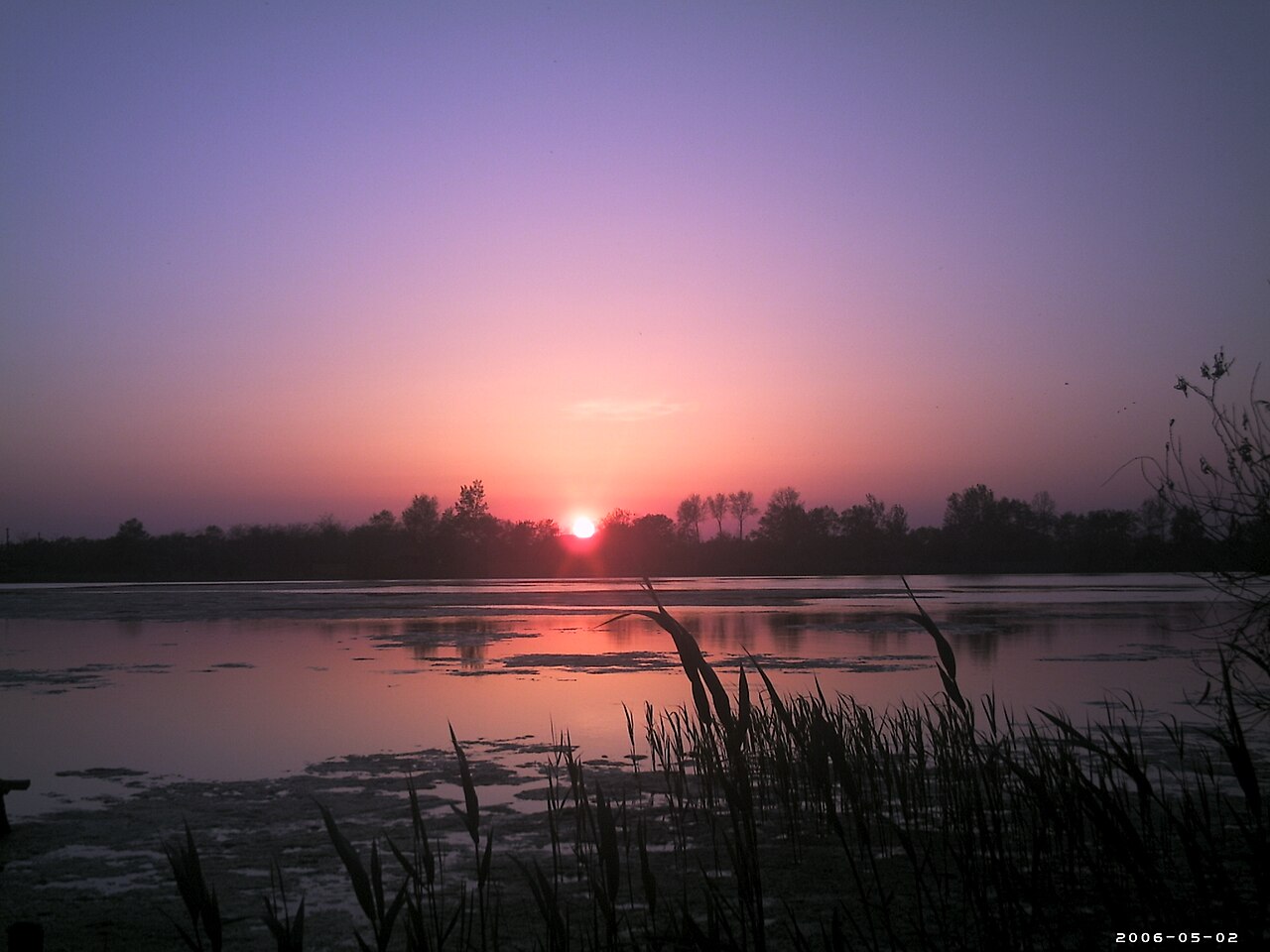 Apus în zona Periprava, Delta Dunării